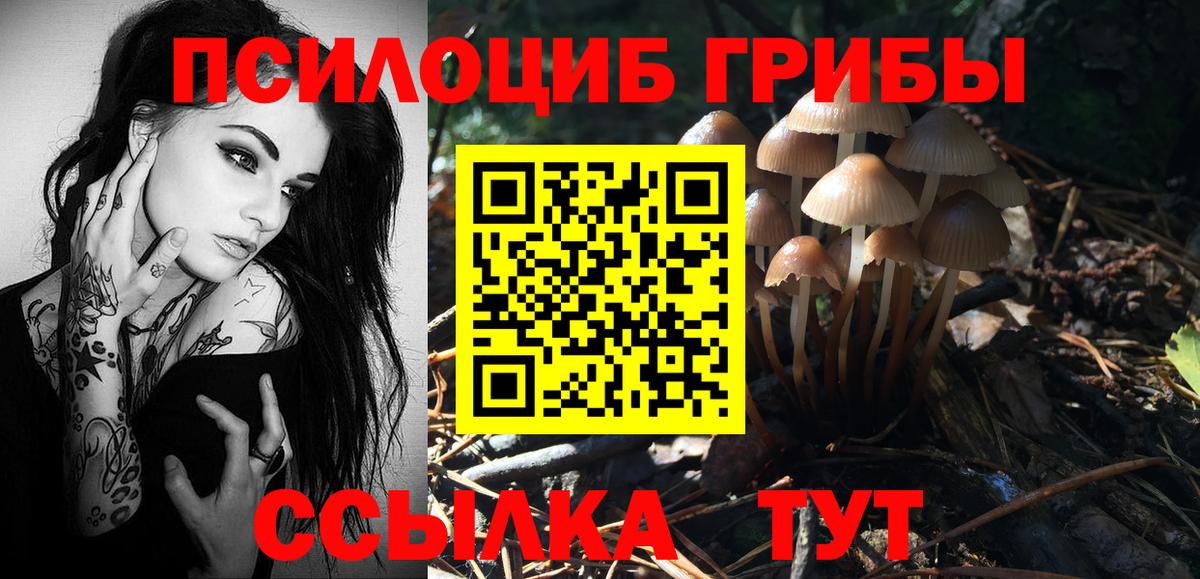 Когалым  Галлюциногенные грибы мицелий  Галлюциногенные грибы Psilocybine cubensis  Вход с VPN 