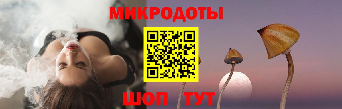 Псилоцибиновые грибы Psilocybine cubensis Когалым